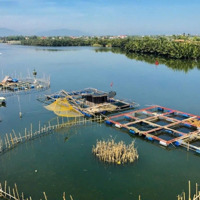 Bán Lô Đất 500M Tại Cẩm Thanh Giá Chưa Tới 10 Triệu/Mv - Thổ Cư Full