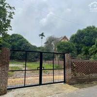 Bán 557m2 KHC 16 Liên Bảo, TP Vĩnh Yên giá 16.5tr/m lh_0987673102
