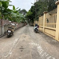 Chính Chủ Em Cần Thanh Khoản 117M2 Thạch Đà, Mê Linh, Hà Nội
