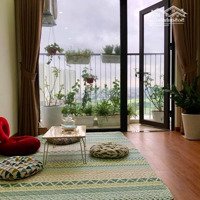 Cho Thuê Gấp Căn Hộ 3 Phòng Ngủ Tòa B, Giá Bán 10 Triệu Chung Cư Đồng Phát Parkview, Giao Nhà Ngay, Mtg