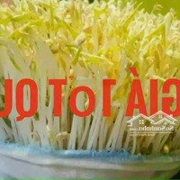 Đất Bán Khu Tái Định Cư Nam Rạch Chiếc Sổ Hồng Cầm Tay Diện Tích 5X16 Giá Bán 10,4 Tỷ Lô Lh :0969748973