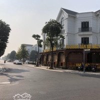Biệt Thự Đơn Lập, Hải Âu 2 Vin Ocean Park 1, 3 Bước Ra Biển Hồ, Kinh Doanh, Văn Phòng, Tiện Ích
