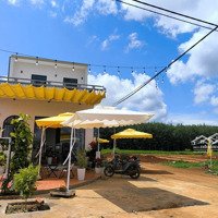 Bán Đất Tại Phú Lộc, Krông Năng, Đắk Lắk, 760 Triệu, 132 M2 View Đẹp Uy Tín