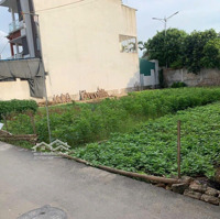 Bán Đất Thổ Cư Xã Trung Châu, Huyện Đan Phượng Diện Tích 62M Ngõ Thông
