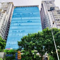 Chủ Đầu Tưcho Thuê Văn Phòngsông Hồng 165 Thái Hà 100M2, 200M2, 300M2, 500M2, 1000M2 Có Thể Lấy Nội Thất