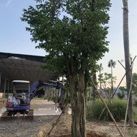 Bán Lô Đất 3700M2 Mặt Tiền Thới Tam Thôn, Hóc Môn