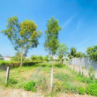 Bán Nhanh 157M2 Đất Đô Thị Cần Giuộc, Đường Xe Hơi, Cách Sg Chỉ 16Km