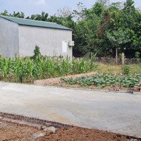 Chính Chủ Bán Gấp 3 Lô Đất Sen Phương, Phúc Thọ, Hà Nội 42M², Ô Tô Đỗ Cửa, Gần Hồ, Giá 7Xx