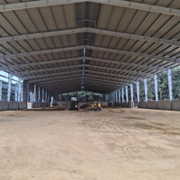 Cho Thuê Nhà Xưởng Tại Tân Uyên, Bình Dương