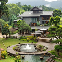 1,8 Triệu/M2 Sở Hữu Ngay Đất Ven Suối Bảo Lâm 1000M2, Sổ Hồng Riêng, Sinh Lời Bền Vững
