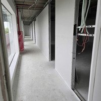 Căn Hộ Dịch Vụ Mini Ngay Trung Tâm Thủ Dầu Một Mặt Tiền Đại Lộ Bình Dương