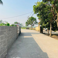Bán Lô Đất Quỳnh Cư, Phường Hùng Vương, Quận Hồng Bàng 41M2 Giá Hơn 800 Triệu - Nhắn Zalo 0962444593