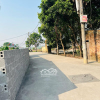 Bán Lô Đất Quỳnh Cư, Phường Hùng Vương, Quận Hồng Bàng 41M2 Giá Hơn 800 Triệu - Nhắn Zalo 0962444593