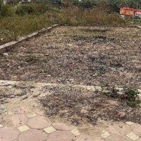Đất 2 Mặt Đường Trước Sau - Khu Đấu Giá Hot Kcn Bắc Thăng Long - Oto Tránh Vỉe Hè - Cách Kcn Bắc