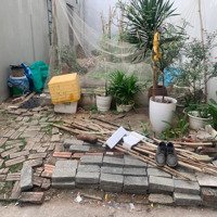Bán Đất Thái Bình, Mai Lâm, Đông Anh, Hà Nội, Giá Tốt 3,2 Tỷ, Diện Tích 44,6M2