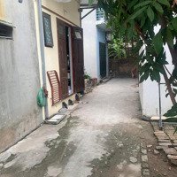 Bán Đất Thái Bình, Mai Lâm, Đông Anh, Hà Nội, Giá Tốt 3,2 Tỷ, Diện Tích 44,6M2