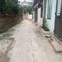 Bán Đất Thái Bình, Mai Lâm, Đông Anh, Hà Nội, Giá Tốt 3,2 Tỷ, Diện Tích 44,6M2