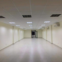 Buiding Giá Rẻ Nhất Hoàng Hoa Thám Tân Bình-Hầm+7 Tầng-7X30(180M)-Hđt: 100 Triệu/Th Giá Chỉ 39 Tỷ Tl