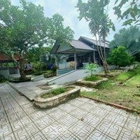 Nhà Đẹp - Giá Tốt Cần Bán Nhanh Nhà Vườn Tại Xã Bình Phú Thành Phố Bến Tre