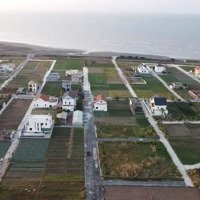 Đất Đầu Tư Mặt Biển Quất Lâm Trước Mặt Dự Án Flamingo, Kế Cạnh Kcn V-Sip 10 Triệu/M2 Sẵn Sổ 0961286388