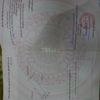 SPMB Đất - 01 : Bán đất An Lão giá rẻ gần khu KCN Tràng Duệ 3.