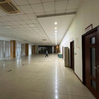 Cho Thuê Mặt Bằng Kinh Doanh 500M Mặt Phố Lạc Long Quân, Tây Hồ, Hà Nội