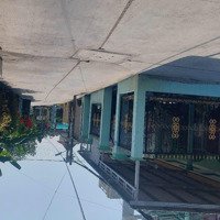 Bán Rẻ 206M2 Đất Ở Hẻm Thông Xe Hơi Chạy Thoải Mái, Đường Đinh Đức Thiện, Bình Chánh Giá Bán 3 Tỷ.