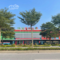 Cần Bán Lô Đất Biệt Thự Dabaco Từ Sơn Huớng Dn, 208M Giá Rẻ Sổ Hồng Lâu Dài, Liên Hệ: 0326569236