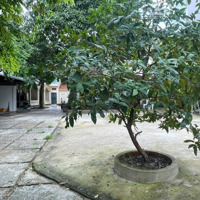 Chính Chủ Cho Thuê Nhàmặt Tiềnp.5 Q.bình Thạnh 20X50 10 Phòng Ngủvà 1 Nhà 200M2 3L Giá Bán 79 Triệu Liên Hệ: 0901 970 599 Ng