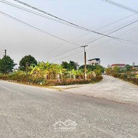 Bán Đất 100M2 Tại Xã Kim Long, Tam Dương, Vĩnh Phúc, Giá Cực Chất 1,55 Tỷ