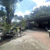 Hàng Hiếm, Bình Thọ, Thủ Đức, 2807M2 Full Thổ Cư, Ngang 63M, Lô Góc, Làm Showroom, Nhà Hàng...