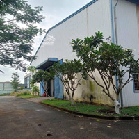 Cho Thuê Xưởng 3200M2, 330 Triệu Kcn Dĩ An 0907 838 118