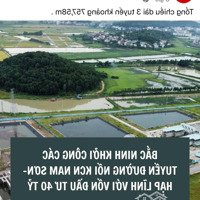 Bán Đất Trục Chính Nam Sơn Bám Kcn Giá Nhỉnh 3 Tỷ (Hàng Hiếm)