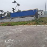 Chính Chủ Bán Đất Tại Xã Thái Sơn, An Lão, Hải Phòng, 2,16 Tỷ, 240M2, Có Thể Bán Lô Nhỏ 60M2
