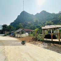 Chỉ Hơn 300 Triệu Sở Hữu Ngay Lô Đấtdiện Tích90M2 Full Thổ Lưng Tựa Núi View Cánh Đồng, Suối Cực Đẹp
