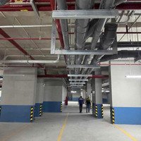 1 Suất Nội Bộ Duy Nhất Căn Góc Giá Gốc Chủ Đầu Tư 2 Phòng Ngủ 2 Vệ Sinhview Pháo Hoa