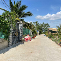 Đất Xây Biệt Thự, Nhà Vườn, 250M2 Thổ (9,7M X 27), Shr, Giá Rẻ Chỉ 1,6 Tỷ
