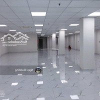 Chính Chủ Cho Thuê Gấp Nhà Mặt Phố Số 20 Trần Kim Xuyến - Yên Hòa - Cầu Giấy.