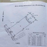 Bán Nhà Vườn 450M2 Đường Trường Lưu Thành Phố Thủ Đức Giá Bán 19 Tỷ