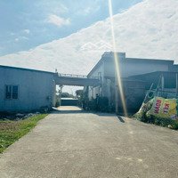 Đất 100M2 Xóm 8 Nghi Kim Hướng Đông Nam Hiếm Có, Cách Ủy Ban Trường Học Chỉ 400M. Giá Tầm Tiền
