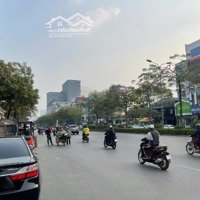 Bán Building 455M2, Giá Bán 299 Tỷ Mặt Phố Xã Đàn Gần Ngã 6 Ô Chợ Dừa, Vị Trí Kinh Doanh Vip Nhất Phố