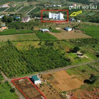 Bán Đất 1030M2 Sẵn Thổ Cư Hẻm Lý Thái Tổ _ Đamri