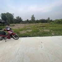 Bán 5 Lô F0 Thổ Cư Giá Rẻ 5X 20M Đường Đan Oto 3 M Cách Nhựa 827D 400 M Giá Bán 260 Triệu
