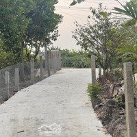 Bán 5 Lô F0 Thổ Cư Giá Rẻ 5X 20M Đường Đan Oto 3 M Cách Nhựa 827D 400 M Giá Bán 260 Triệu