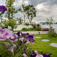 Bán Nhà Riêng Tại Trương Chí Cương, 4,2 Tỷ, 60M2, View Đẹp, Giá Siêu Hời