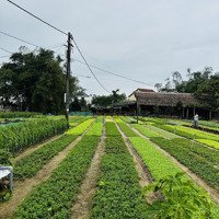 Bán Lô Đất Trà Quếmặt Tiềnđường Chính - Gần Casamiadiện Tích385M2 Giá Bán 5,8 Tỷ