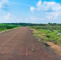 Cần Bán Gấp Lô Đất Ngộp Chính Chủ