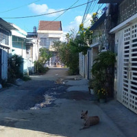 Bán Lô Đất Phú Bình - Xã Vĩnh Thạnh, Nha Trang Full Thổ Cư Giá Bán 1 Tỷ 490 Triệu