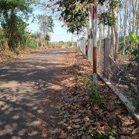Chủ Kẹt Bán Lô Đất Thổ Cư Mặt Tiền Nhựa Hưng Lộc Giá Rẻ