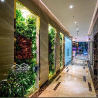 Dòng Tiền 24 Tỷ/Năm - Toà Nhà Chdv Lê Văn Sỹ - 200 Phòng -Diện Tích4.500M2 - Hầm - 8 Tầng - Giá Bán 130 Tỷ